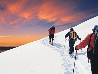 OG���ˡ��ٷ�(�й�)���޹�˾